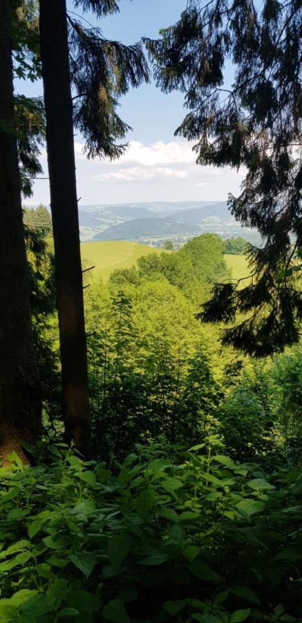 Gasthaus Sternen Post Oberried  Bagian luar foto
