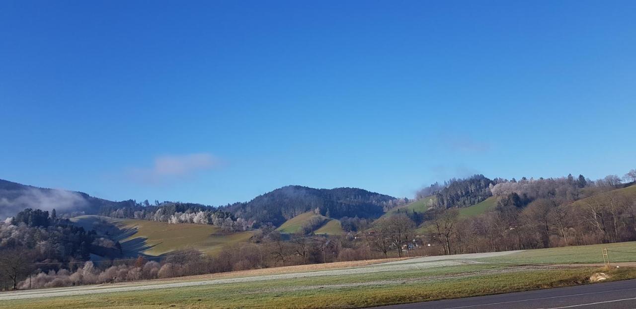 Gasthaus Sternen Post Oberried  Bagian luar foto