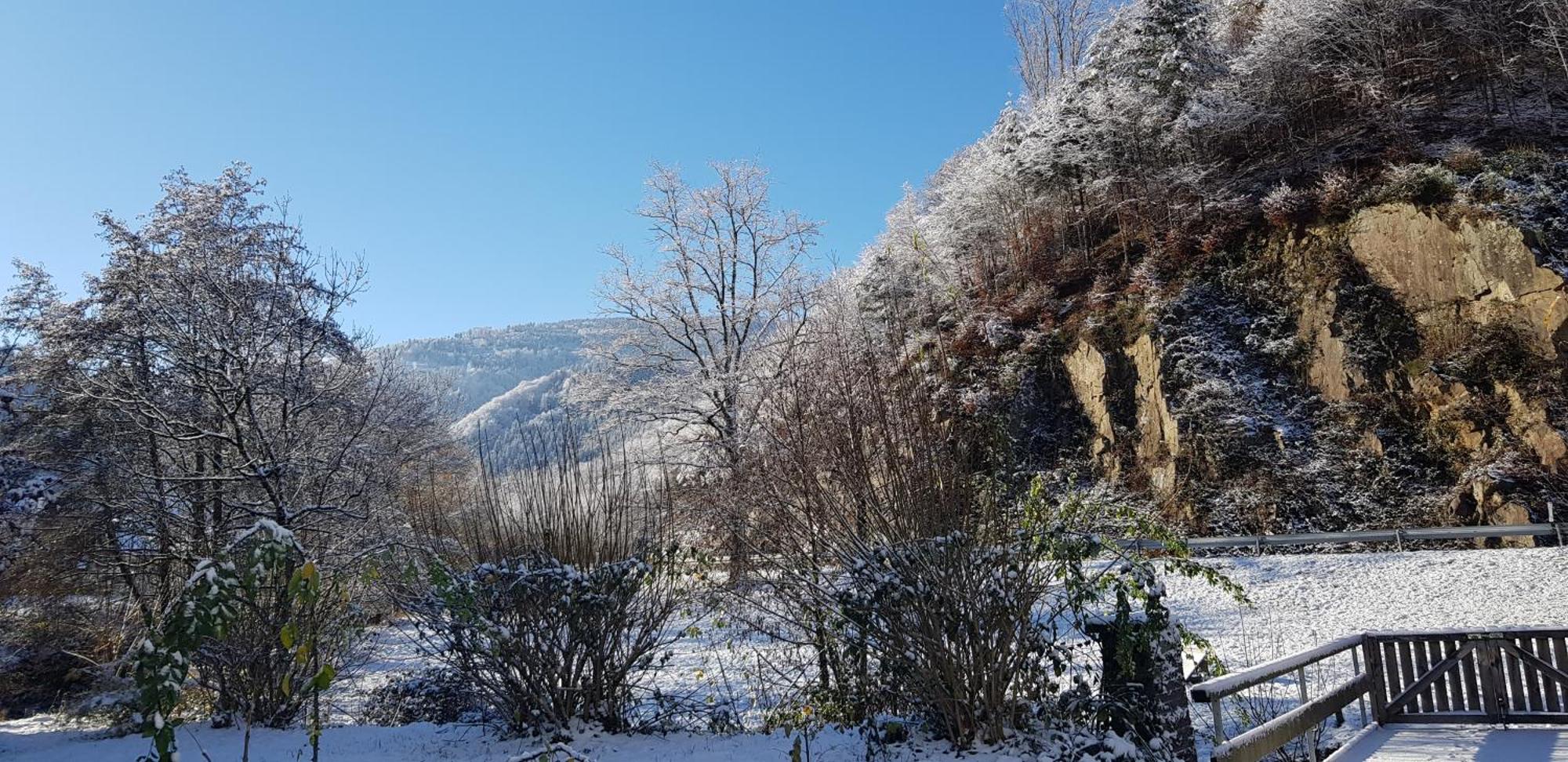 Gasthaus Sternen Post Oberried  Bagian luar foto