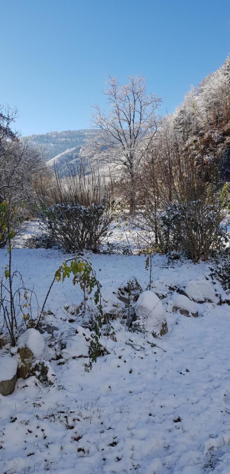 Gasthaus Sternen Post Oberried  Bagian luar foto