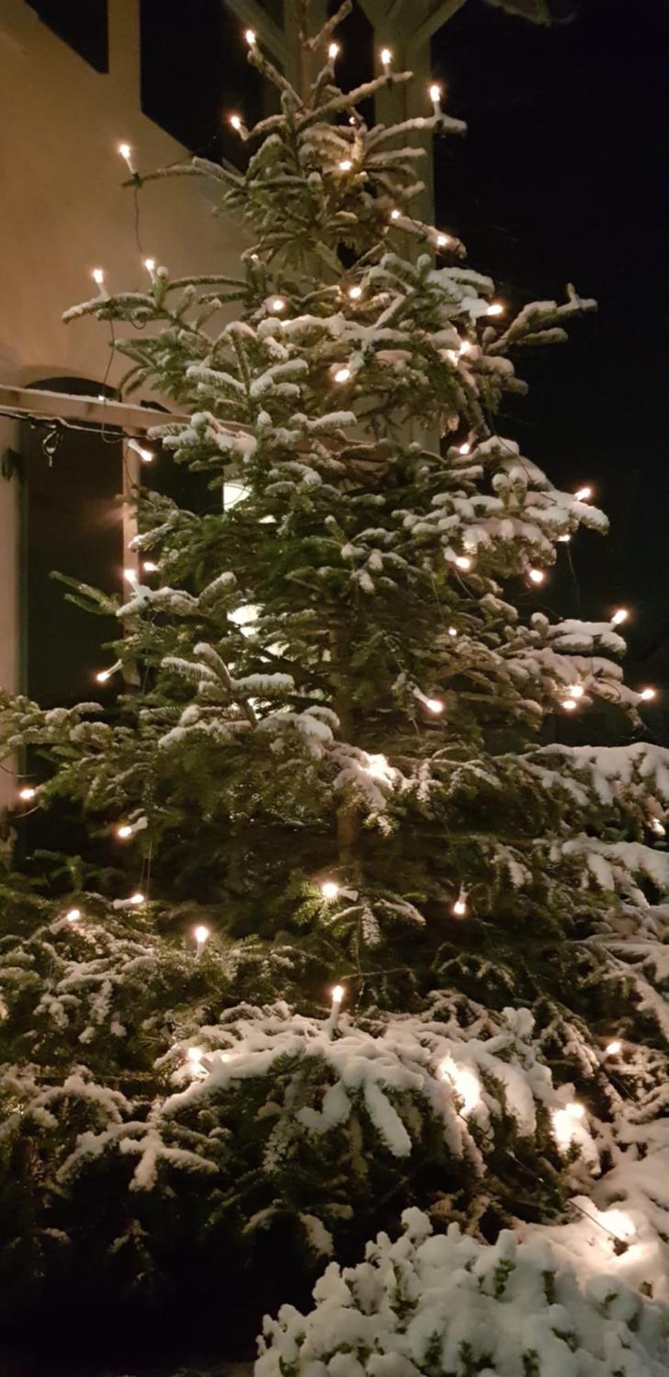 Gasthaus Sternen Post Oberried  Bagian luar foto